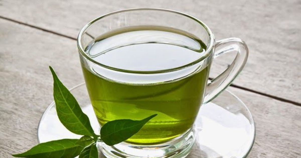 Chá Verde - Um ingrediente natural e funcional para indústrias de bebidas inovadoras