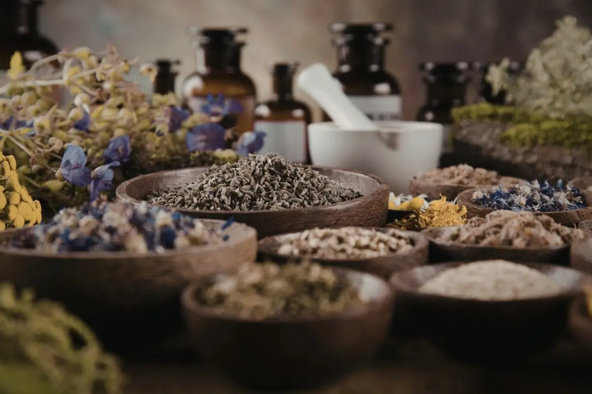 NOVO-SANTOS-FLORA_ARTEPOST-3-1